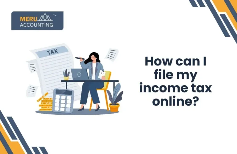 How can I do my income tax online?