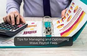 Tips for Managing and Optimizing Wave Payroll Fees.