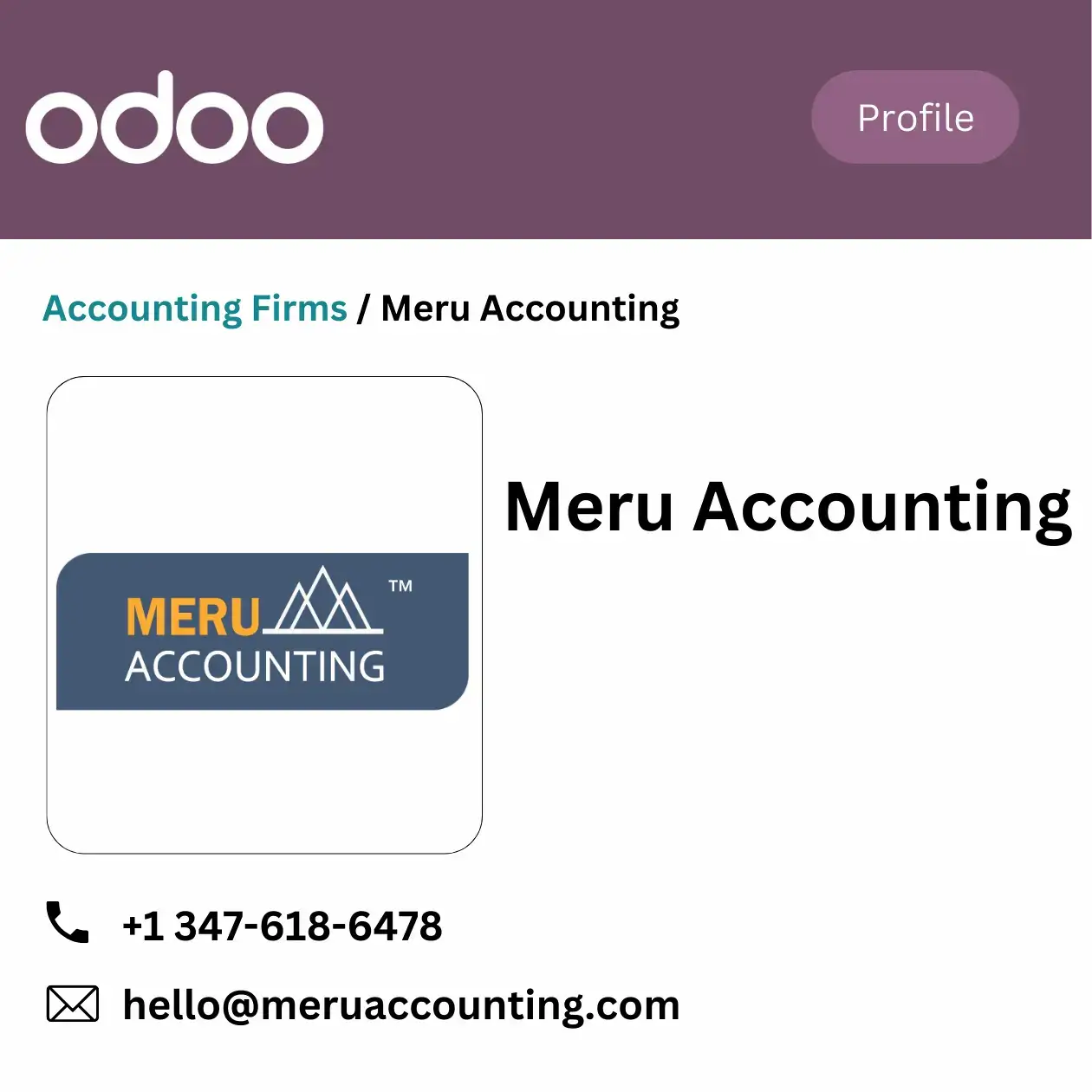 Visual representation of Meru Accounting software, showcasing a detailed screenshot of financial management tools.
