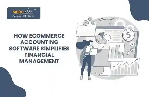 How Ecommerce Accounting Software Simplifies Financial Management 8 How Ecommerce Accounting software