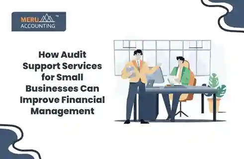 How Audit Support Services for Small Businesses Can Improve Financial Management 13 Audit report
