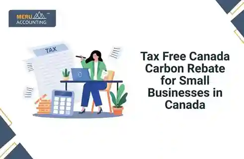 Tax Free Canada Carbon Rebate for Small Businesses in Canada 8 Tax Free Canada Carbon Rebate for Small Businesses in Canada