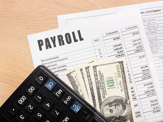 4. Payroll Processing and Compliance Support
