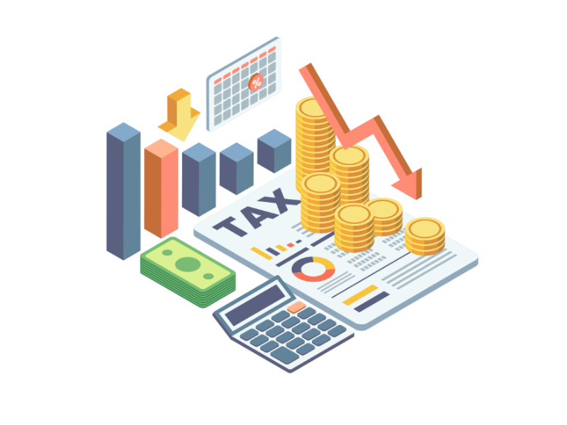 Business Tax Return Filing Services for 2026 11 Business Tax Return