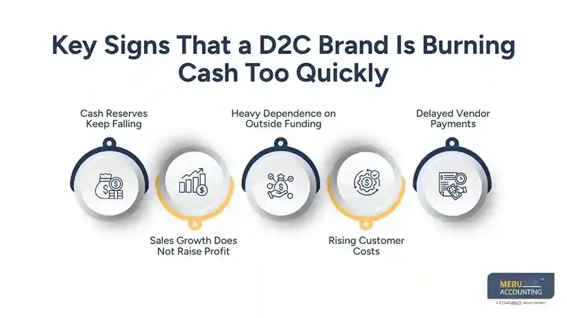 Financial Management for Startups: How D2C Brands Can Control Cash Flow and Burn Rate 1 Key Signs That a D2C Brand Is Burning Cash Too Quickly