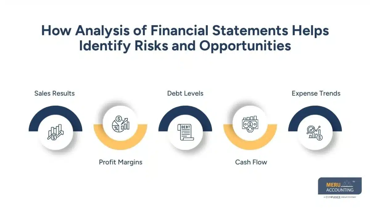 Why Private Equity and Investor-Backed Businesses Use Financial Analysis Outsourcing for Faster Decision-Making 1 How Analysis of Financial Statements Helps Identify Risks and Opportunities-financial analysis outsourcing