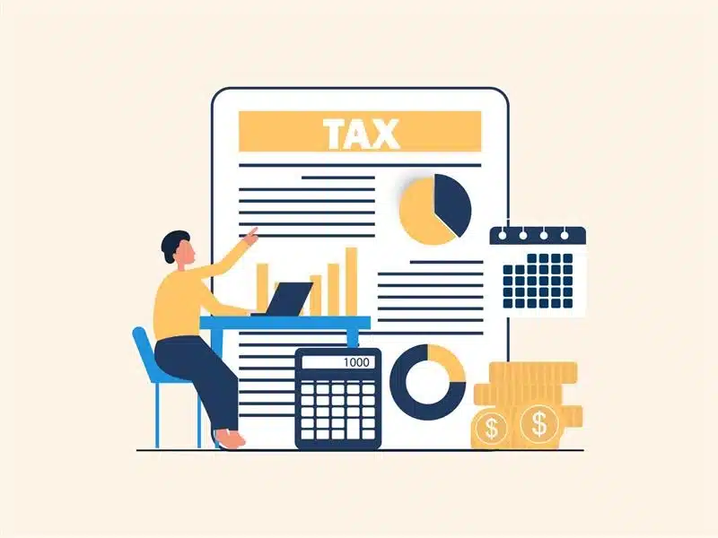 What Should Businesses Look for in Professional Tax & Bookkeeping Services 1 What Should Businesses Look for in Professional Tax & Bookkeeping Services-tax preparation services