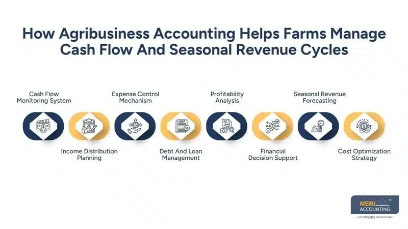 How Agribusiness Accounting Helps Farms Manage Cash Flow and Seasonal Revenue 1 How Agribusiness Accounting Helps Farms Manage Cash Flow And Seasonal Revenue Cycles-Farm accounting Services