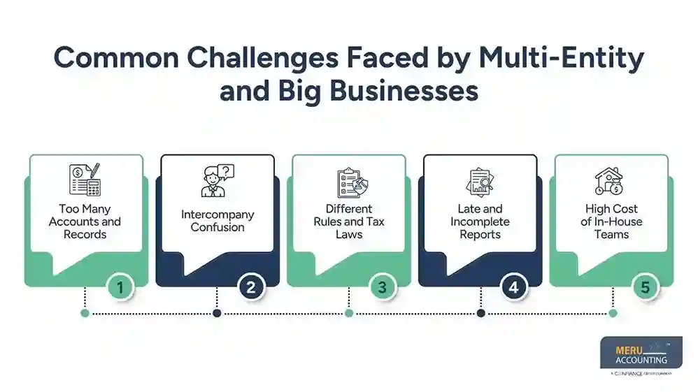 Why CPA Outsourcing Services Work Well for Multi-Entity and Big Businesses 1 Common Challenges Faced by Multi-Entity and Big Businesses CPA Outsourcing Services