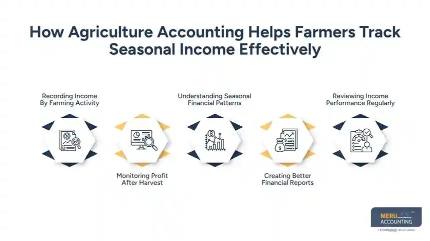 How Agriculture Accounting Helps Farmers Track Seasonal Income Effectively