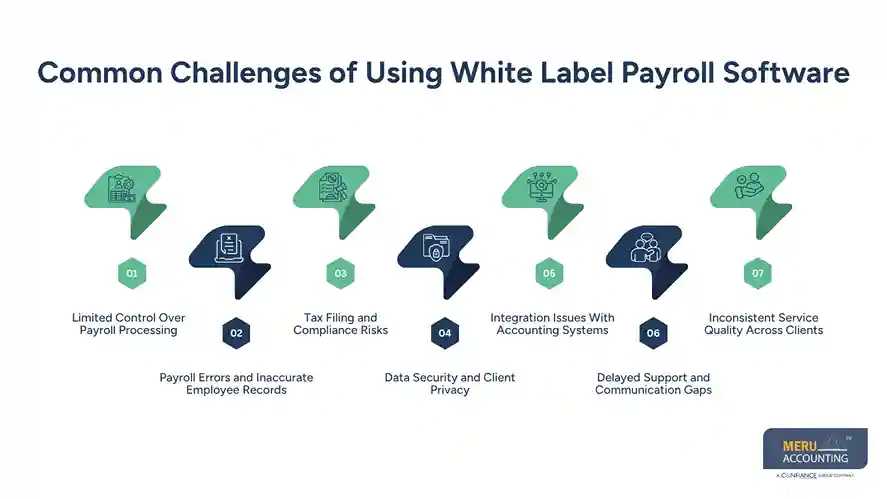 Common Challenges of Using White Label Payroll Software